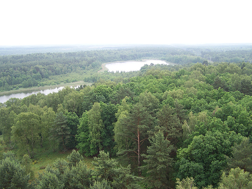 Müritz National Park